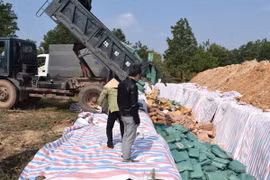 Tổ chức tiêu hủy số hàng hải sản không đảm bảo an toàn tại khu vực tiêu hủy theo đúng quy trình kỹ thuật và bảo vệ môi trường. (Ảnh: Võ Dung/TTXVN)