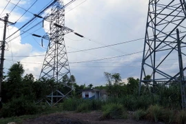 (Ảnh minh họa: Quốc Việt/TTXVN)