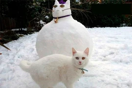 Tròn mắt trước những người tuyết độc đáo nhất thế giới