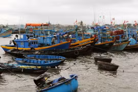 (Ảnh minh họa: An Hiếu/TTXVN)