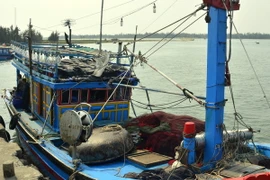 (Ảnh chỉ có tính minh họa: Đỗ Trưởng/TTXVN)