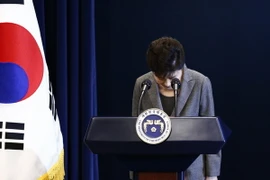 Tổng thống Park Geun-hye xin lỗi người dân trong bài phát biểu trực tiếp trên truyền hình về vụ bê bối chính trị liên quan đến người bạn thân Choi Soon-sil, tại Seoul ngày 29/11. (Nguồn: AP/TTXVN)