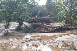 (Ảnh minh họa: K GỬIH/TTXVN)