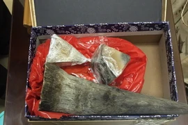 (Ảnh minh họa: TTXVN phát)