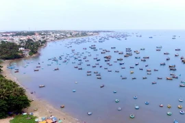 Khu neo đậu tránh trú bão tại Cảng cá Mũi Né, tỉnh Bình Thuận. (Ảnh: Mạnh Linh/TTXVN)