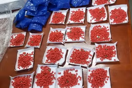 (Ảnh chỉ có tính minh họa: Việt Hùng/TTXVN)