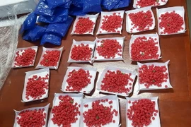 (Ảnh chỉ có tính minh họa: Việt Hùng/TTXVN)