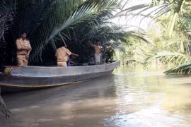 (Ảnh minh họa: Hưng Thịnh/TTXVN)
