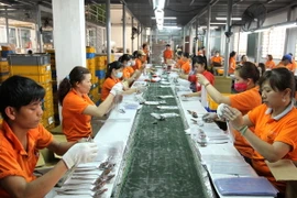 (Ảnh minh họa: Thanh Vũ/TTXVN)