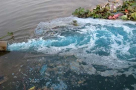 Doanh nghiệp gây ô nhiễm: Phải xử lý người đứng đầu 