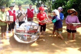 Cán bộ Chữ thập Đỏ cứu trợ người dân vùng lũ. (Ảnh minh họa. Nguồn: TTXVN)