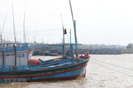 Tàu thuyền neo đậu tránh bão. (Nguồn: TTXVN)