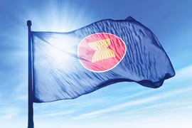 Ảnh minh họa. (Nguồn: NST)