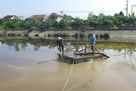 Nhà máy nước Hưng Vĩnh khắc phục hậu quả việc xả bùn thải ra hồ điều hòa Cửa Nam. (Ảnh: Nguyễn Văn Nhật/TTXVN)