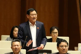 Đại biểu Quốc hội tỉnh Nghệ An Nguyễn Hữu Cầu tranh luận. (Ảnh: Dương Giang/TTXVN)