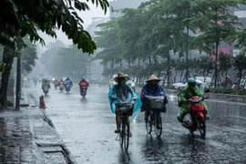 Ảnh minh họa. (Nguồn: Vietnam+)