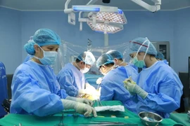 Các bác sỹ thực hiện ca ghép gan cấp cứu. (Ảnh: PV/Vietnam+)