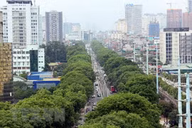 Ảnh minh họa. (Nguồn: TTXVN)