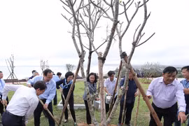 Bà Trương Thị Mai - Ủy viên Bộ Chính trị, Bí thư Trung ương Đảng, Trưởng ban Dân vận Trung ương cùng các đại biểu thực hiện nghi thức trồng cây của chương trình Quỹ 1 triệu cây xanh cho Việt Nam. (Nguồn: Vinamilk)