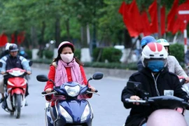 Ảnh minh họa. (Nguồn: TTXVN)