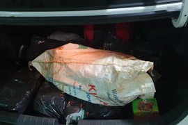 Số pháo lậu được cất giấu trong cốp xe hơi. (Ảnh: Đậu Tất Thành/Vietnam+)