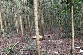 Hiện trường vụ việc. (Ảnh: Đậu Tất Thành/Vietnam+)