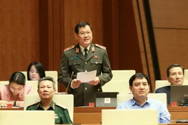 Đại biểu Quốc hội tỉnh Nghệ An Nguyễn Hữu Cầu phát biểu ý kiến. (Ảnh: Doãn Tấn/TTXVN)
