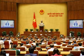 Quang cảnh một phiên họp của Quốc hội. (Ảnh: Dương Giang/TTXVN)
