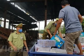 Hàng lậu bị lực lượng chức năng thu giữ, tiêu hủy. (Ảnh minh họa: Đậu Tất Thành/TTXVN)