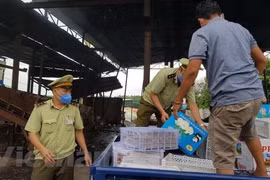 Hàng lậu bị lực lượng chức năng thu giữ, tiêu hủy. (Ảnh minh họa: Đậu Tất Thành/TTXVN)