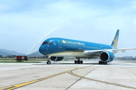 Máy bay của Vietnam Airlines. (Nguồn: Vietnam+)