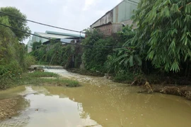 Hòa Bình: Người dân bức xúc vì Công ty Hồng Cơ xả thải ra suối Dụ