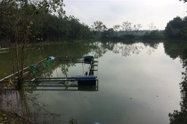 Hiện trường vụ đuối nước. (Ảnh: Đậu Tất Thành/TTXVN)