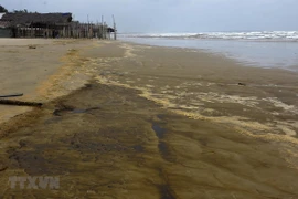 Nước biển có màu xám đen, nổi bọt vàng. (Ảnh: Phước Ngọc/TTXVN)