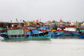 Tàu thuyền neo đậu tránh bão. (Ảnh minh họa. Nguồn: TTXVN)