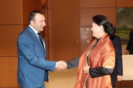 Chủ tịch Quốc hội Nguyễn Thị Kim Ngân tiếp Phó Chủ tịch Quốc hội Armenia, Vahe Enfiajyan. (Ảnh: Trọng Đức/TTXVN)