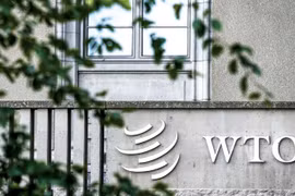WTO hiện đang phải đối mặt với ba vấn đề căn bản. (Nguồn: AFP)