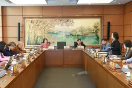 Đoàn đại biểu Quốc hội thành phố Hà Nội thảo luận ở tổ. (Ảnh Doãn Tấn/TTXVN)