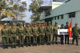 Đoàn Việt Nam tham gia AARM 29. (Ảnh: Hữu Chiến/Vietnam+)