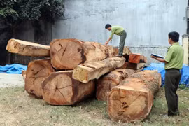 Ảnh minh họa. (Nguồn: TTXVN)