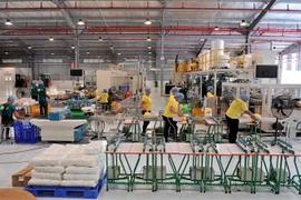 Nhà máy sản xuất tã lót giấy và băng vệ sinh của Tập đoàn Thái Bình tại Đặc khu phát triển Mariel. (Ảnh: Vũ Lê Hà/TTXVN)