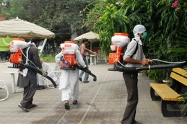 Số người mắc bệnh sốt xuất huyết tăng mạnh ở Brazil 