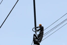 (Ảnh minh họa: Ngọc Hà/TTXVN)