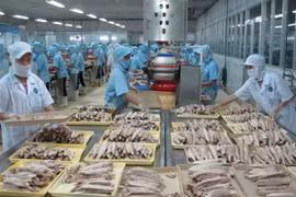 Trên 310 triệu USD vốn FDI đầu tư vào thủy sản 