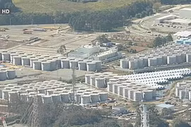 (Nguồn: NHK)
