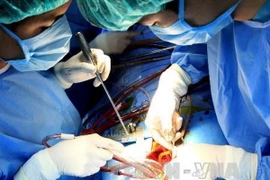 (Ảnh minh họa của Dương Ngọc/TTXVN)