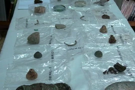 Các hiện vật được tìm thấy tại một di chỉ khảo cổ. (Ảnh minh họa: Thanh Bình/TTXVN)