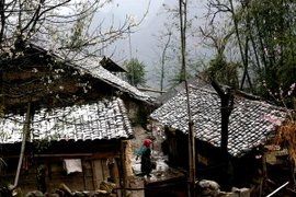 Nhà ở Cao nguyên đá Đồng Văn đã nhiều lần phủ trắng tuyết. (Ảnh: Minh Tâm/TTXVN)