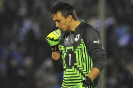 Giường của thủ môn Uruguay bị hàng trăm con kiến tấn công