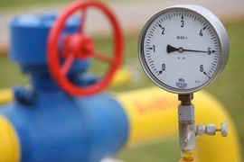 Chuyên gia Nga: Kiev chiến đấu vì khí đá phiến ở miền Đông-Nam